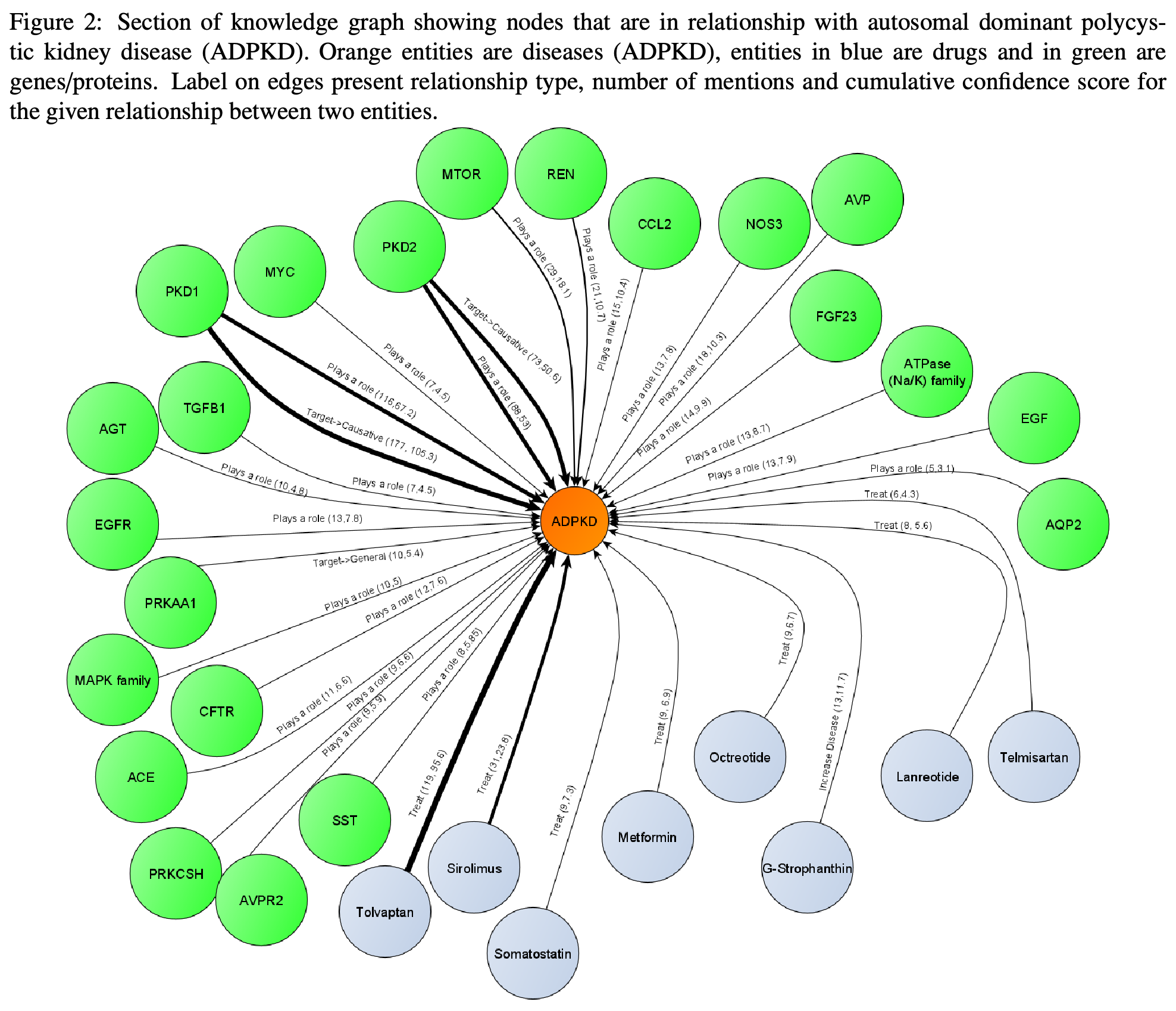 Knowledge graph of entities connected to autosomal dominant polycystic kidney disease, with edge types, mention counts, and cumulative confidence scores.