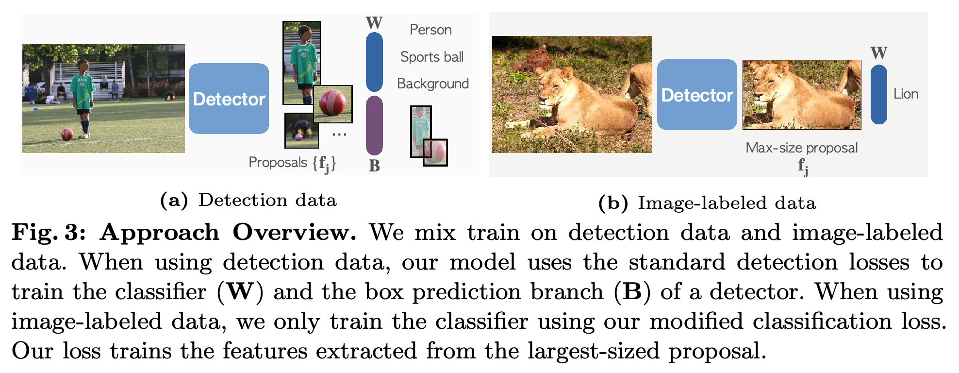 Joint training with detection data and image-labeled data.