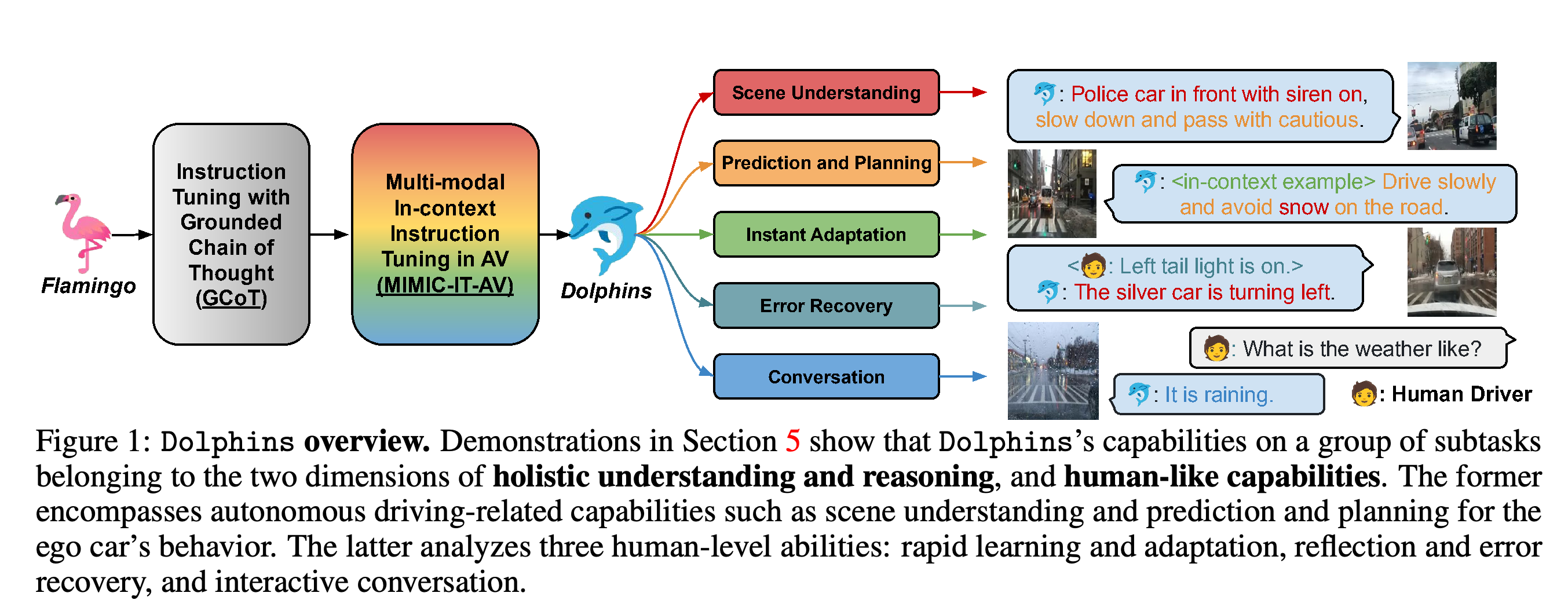 Overview of Dolphins training and its driving-assistant capabilities.