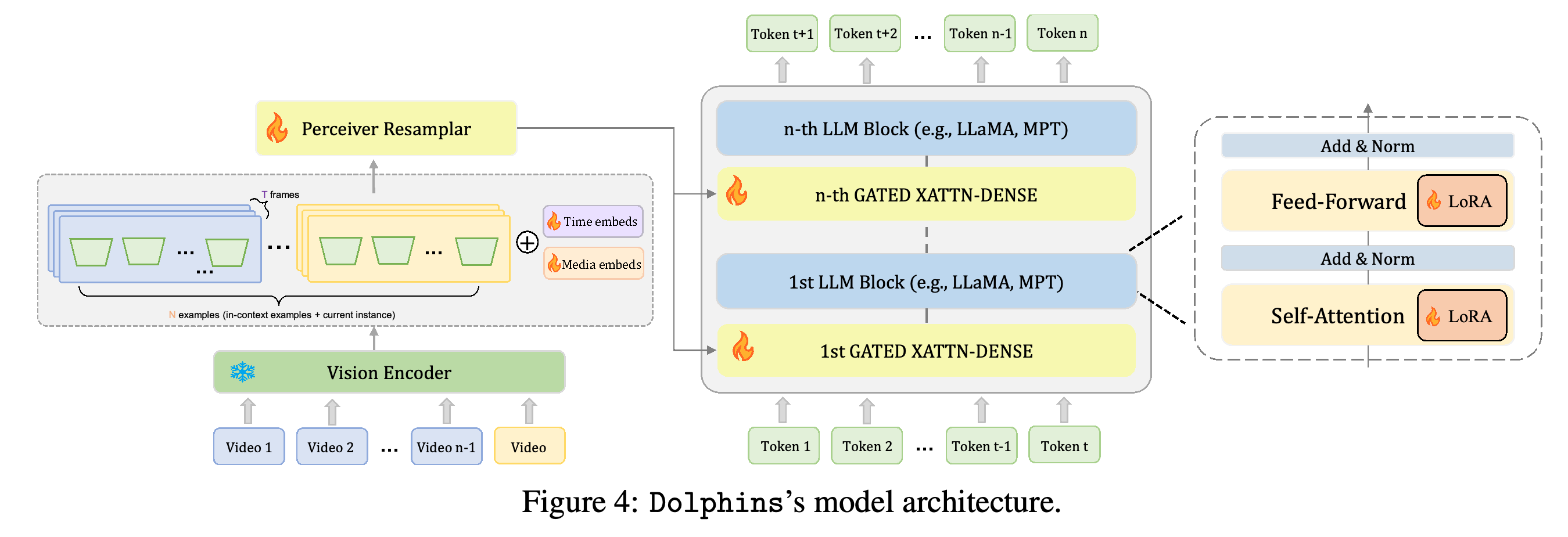 Dolphins model architecture.