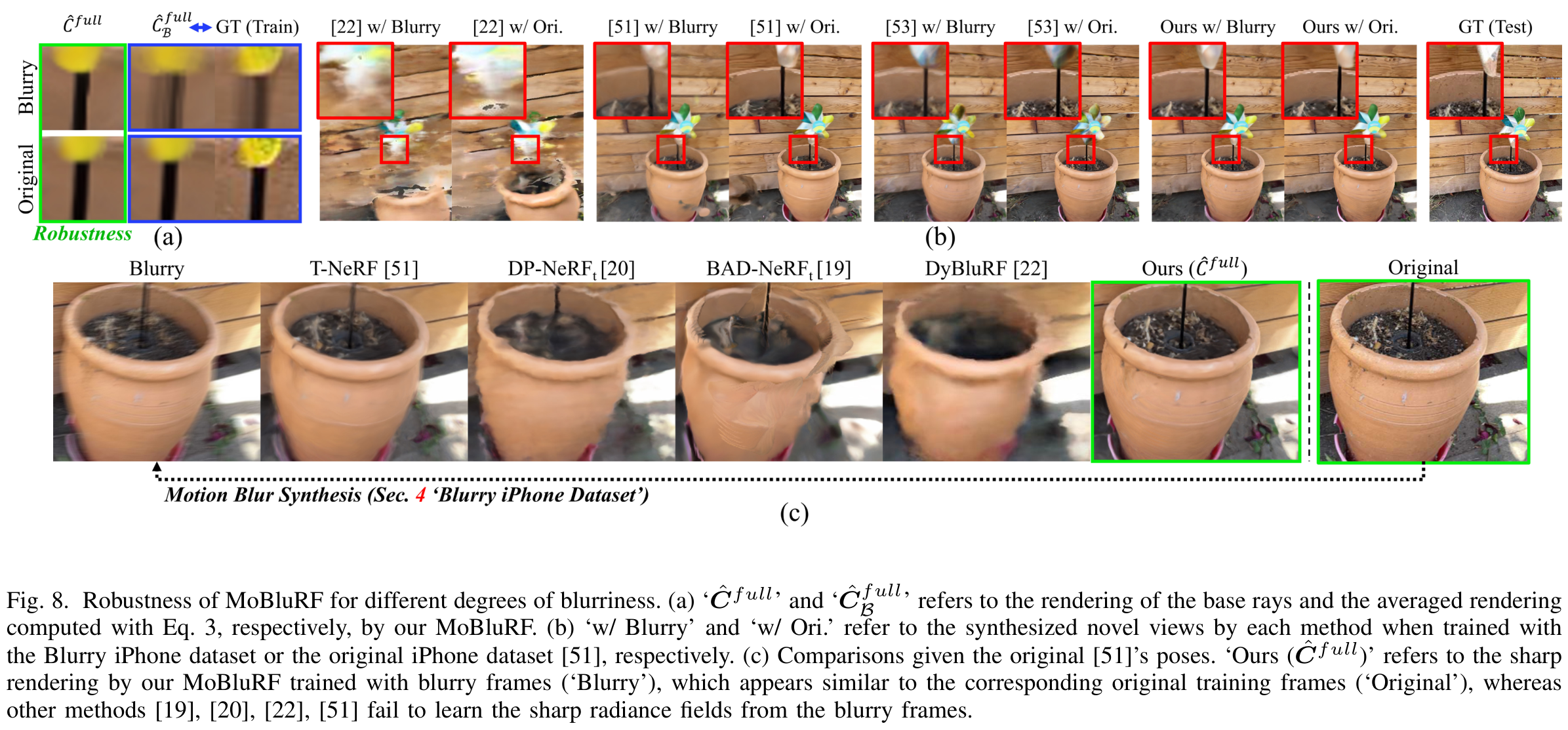 Base-ray and averaged renderings, training-condition comparisons, and deblurring results with original camera poses.