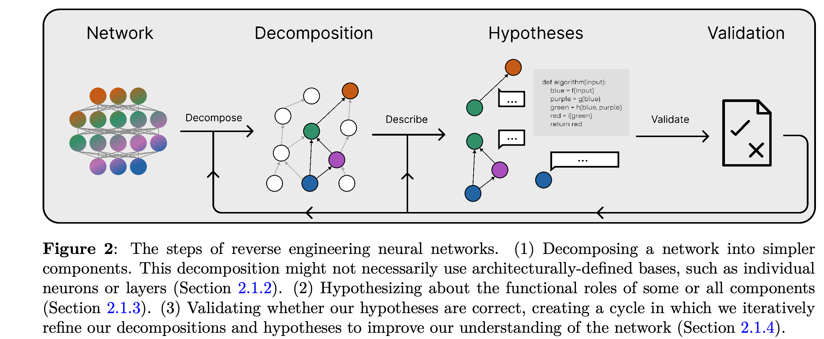 An iterative workflow of network decomposition, functional hypotheses, and validation.