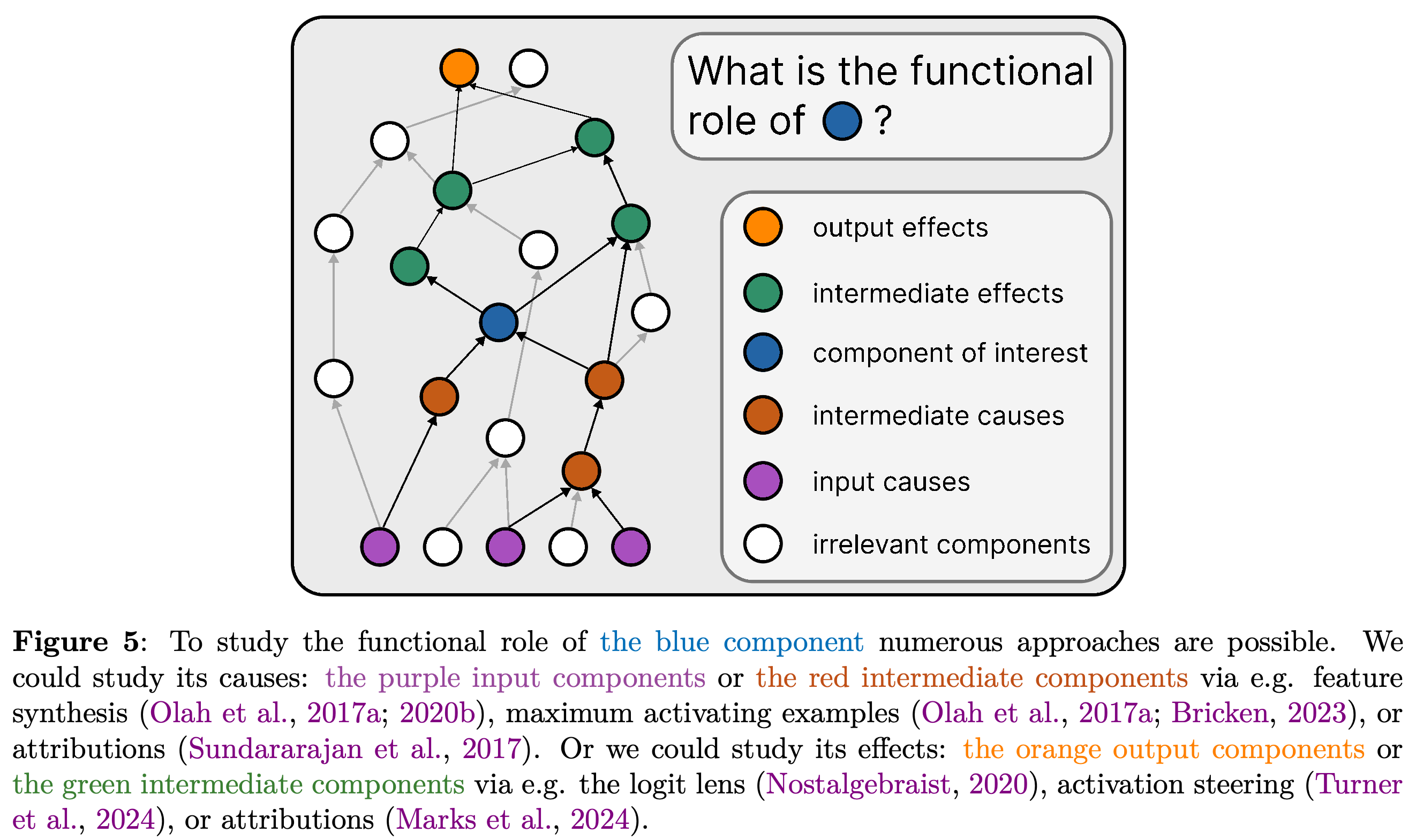 Input causes, intermediate causes, intermediate effects, and output effects of a component of interest.