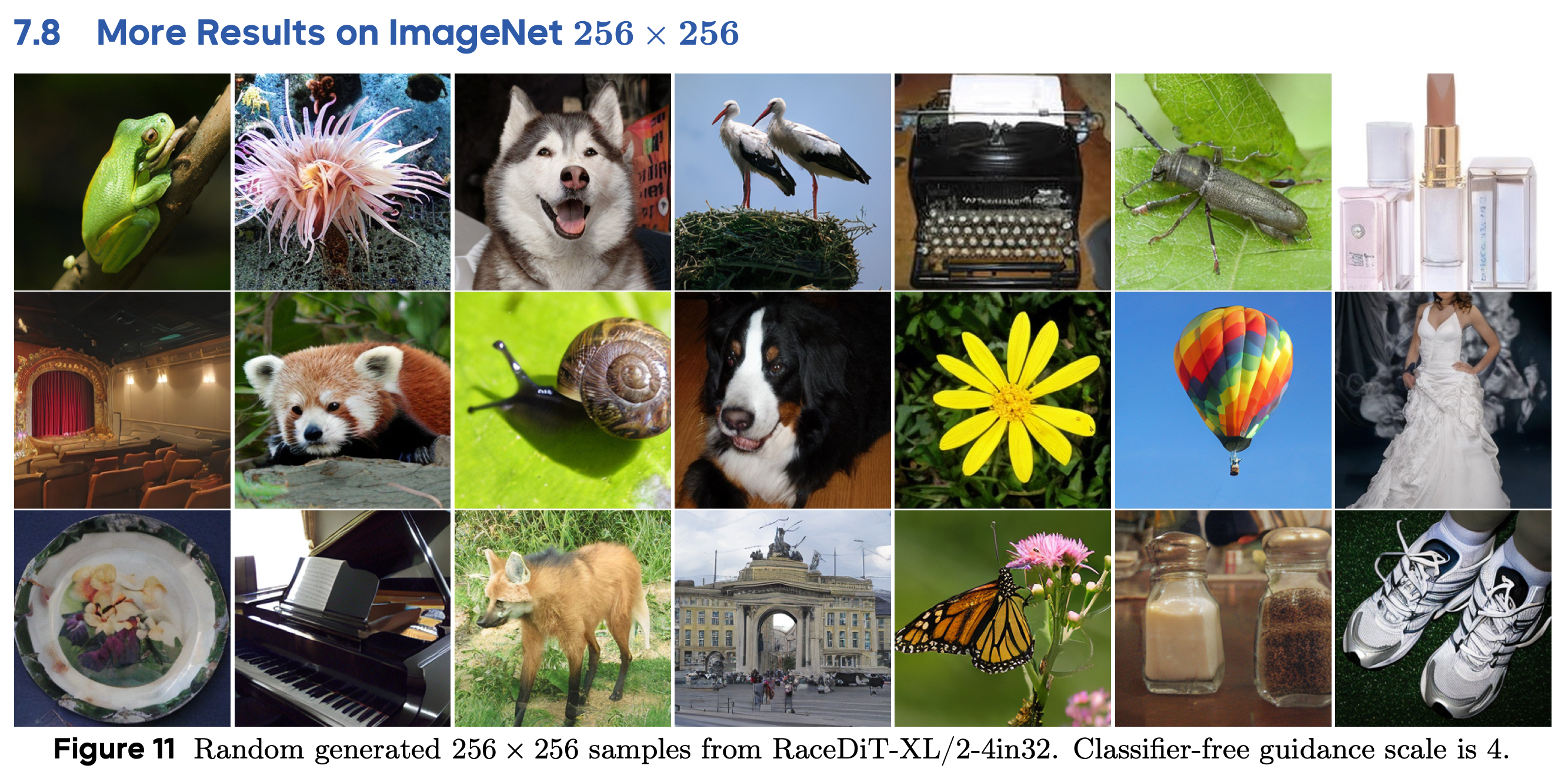 Random 256 × 256 samples from RaceDiT-XL/2-4in32 with classifier-free guidance scale 4.