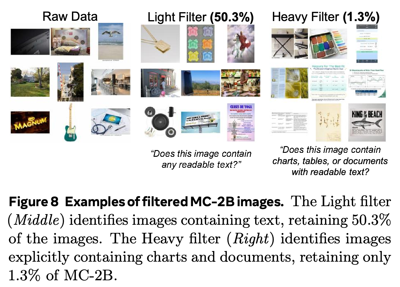 Raw, Light-filtered, and Heavy-filtered MC-2B image examples.