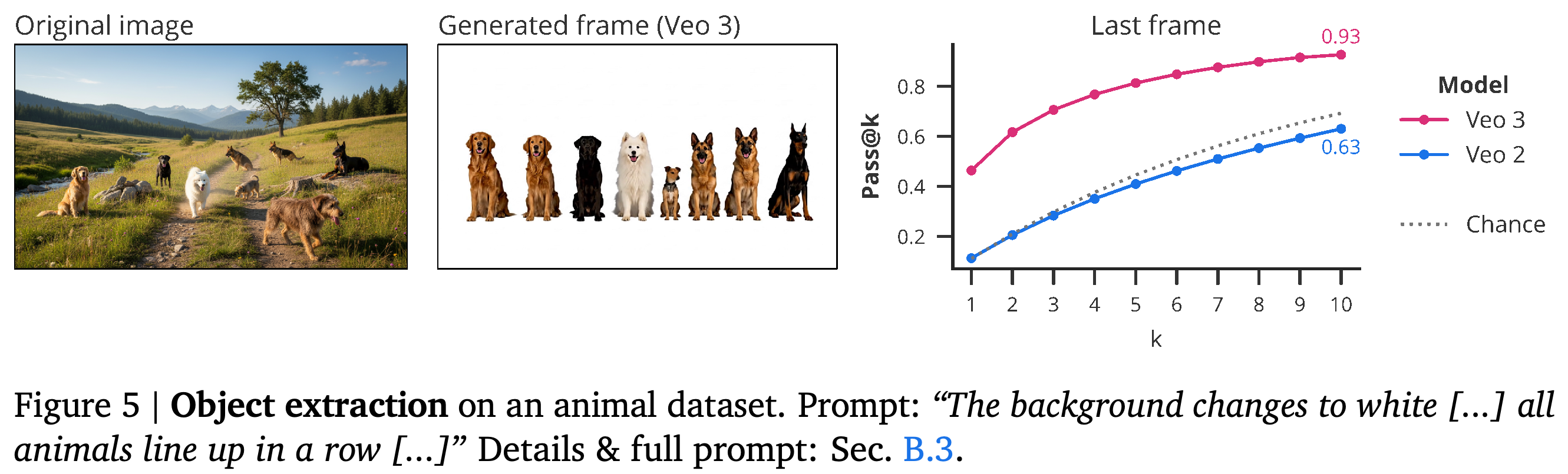 Animal extraction and count-preserving rearrangement, with last-frame pass@k and a guessing baseline.