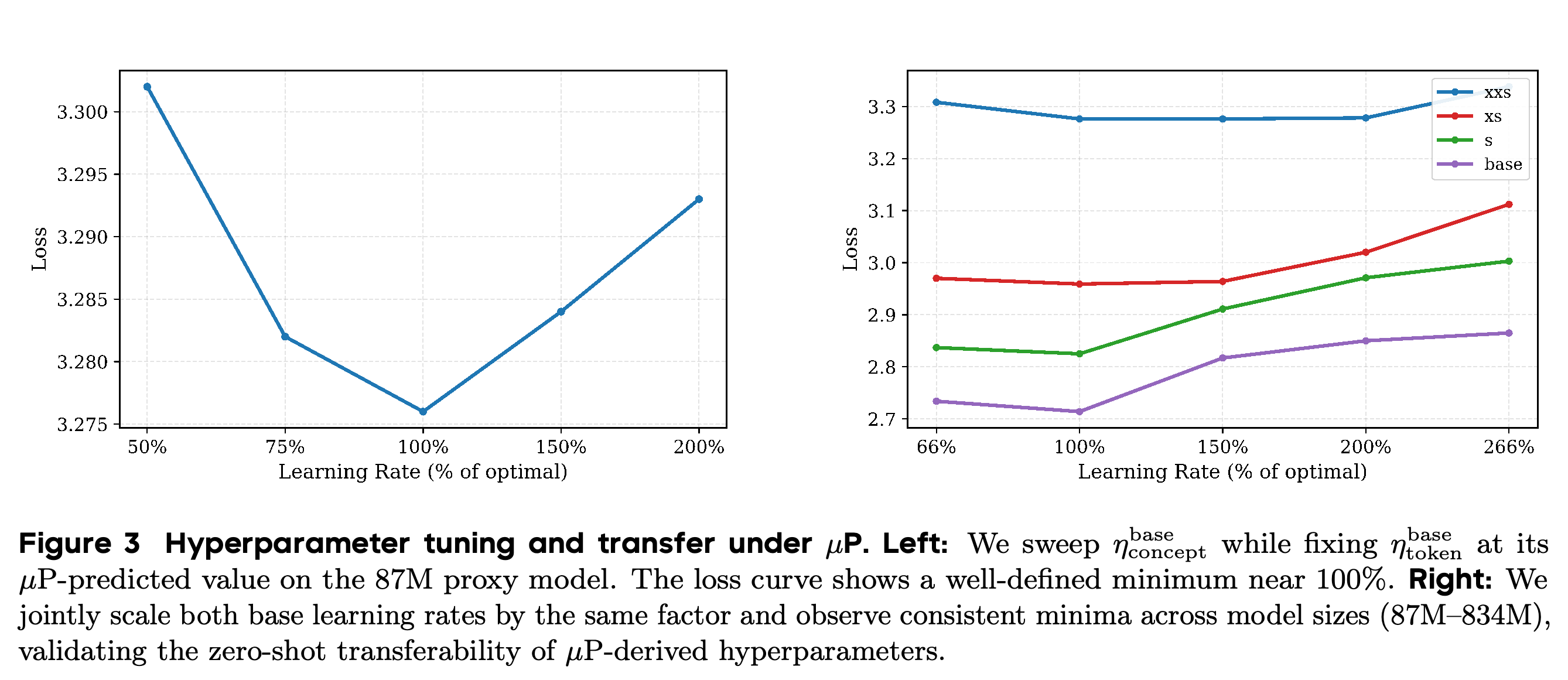 Proxy-model learning-rate tuning and transfer checks under decoupled µP.
