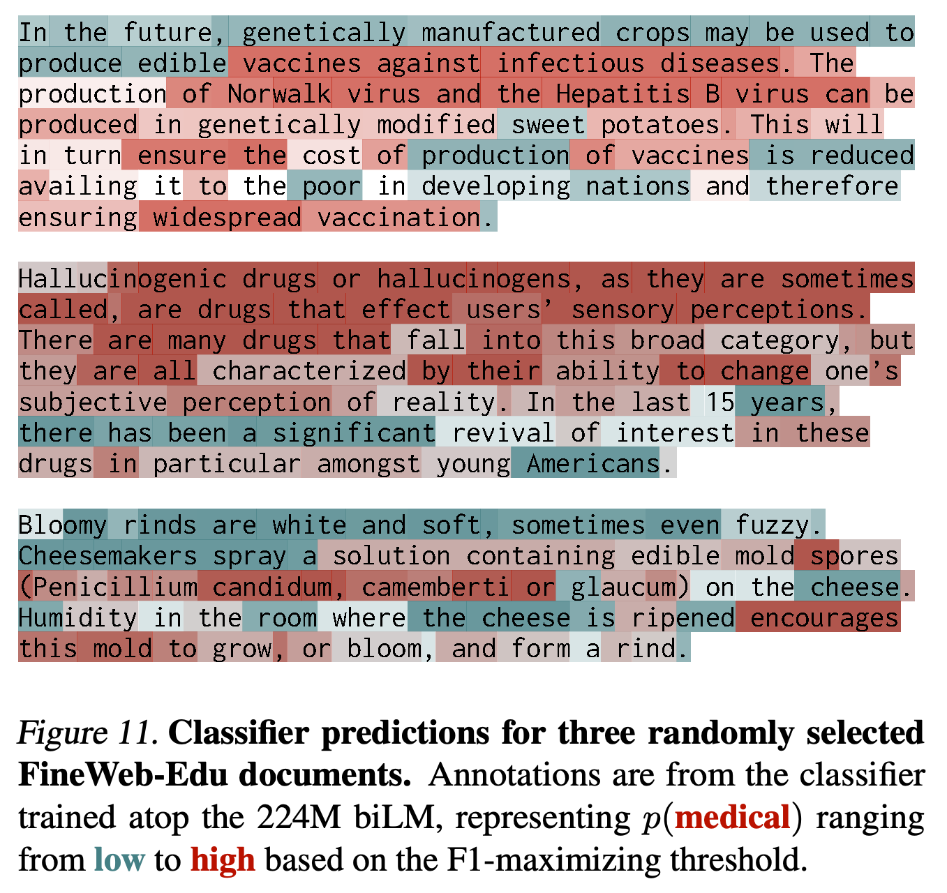 Medical-token probabilities from the final biLM classifier on three FineWeb-Edu documents.