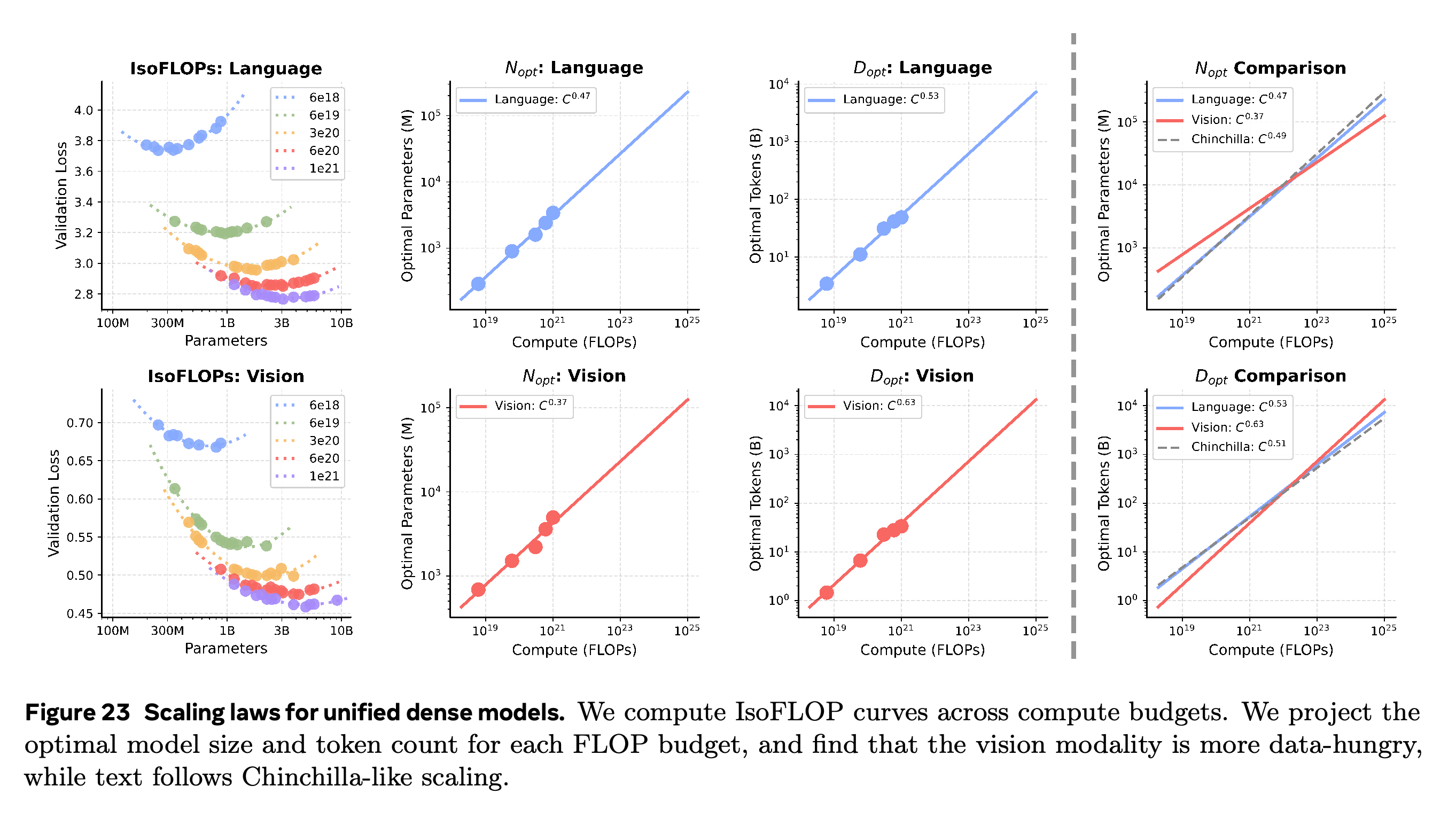 Dense IsoFLOP curves and fitted compute-optimal parameter and token scaling.