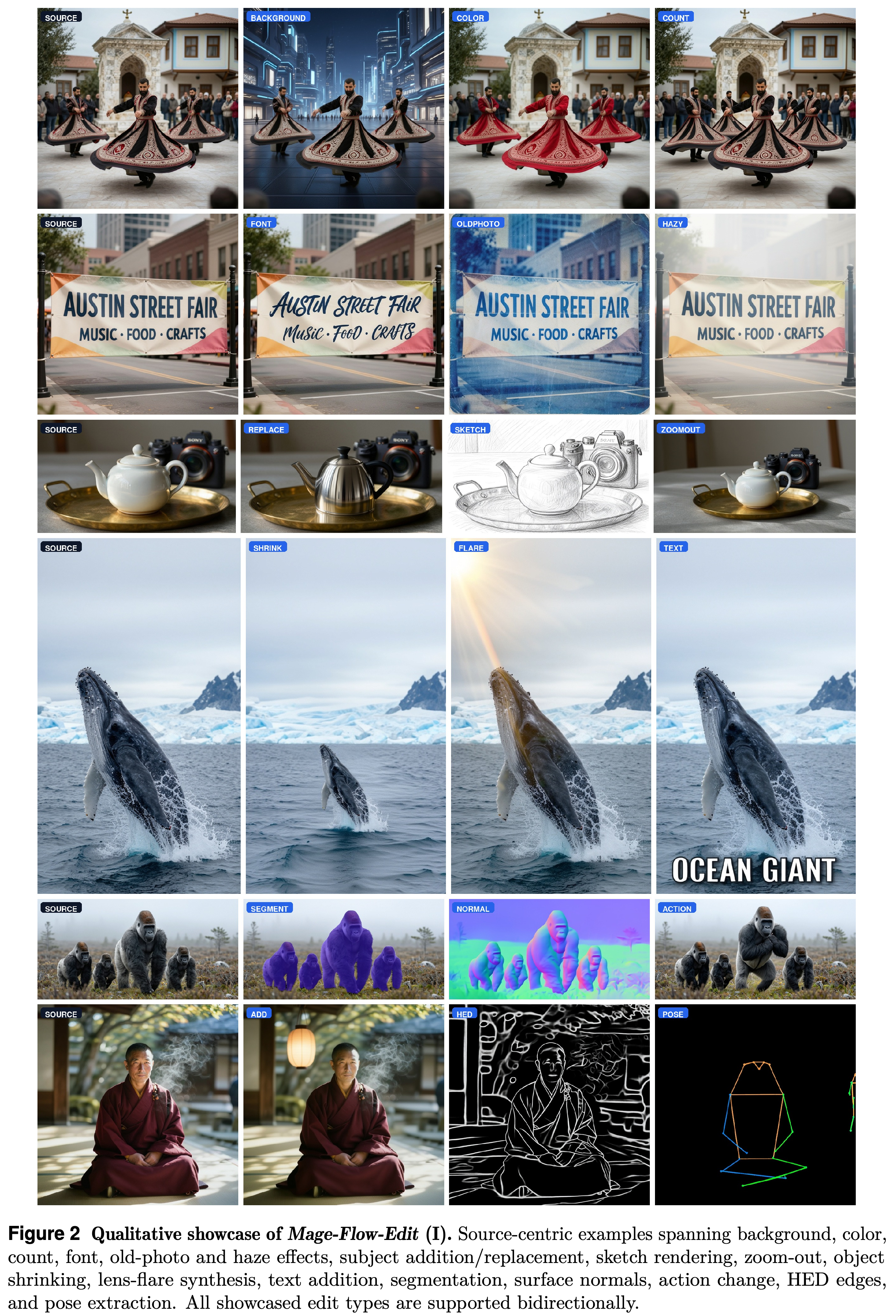 Source-centric image-editing examples spanning semantic and structure-aware operations.