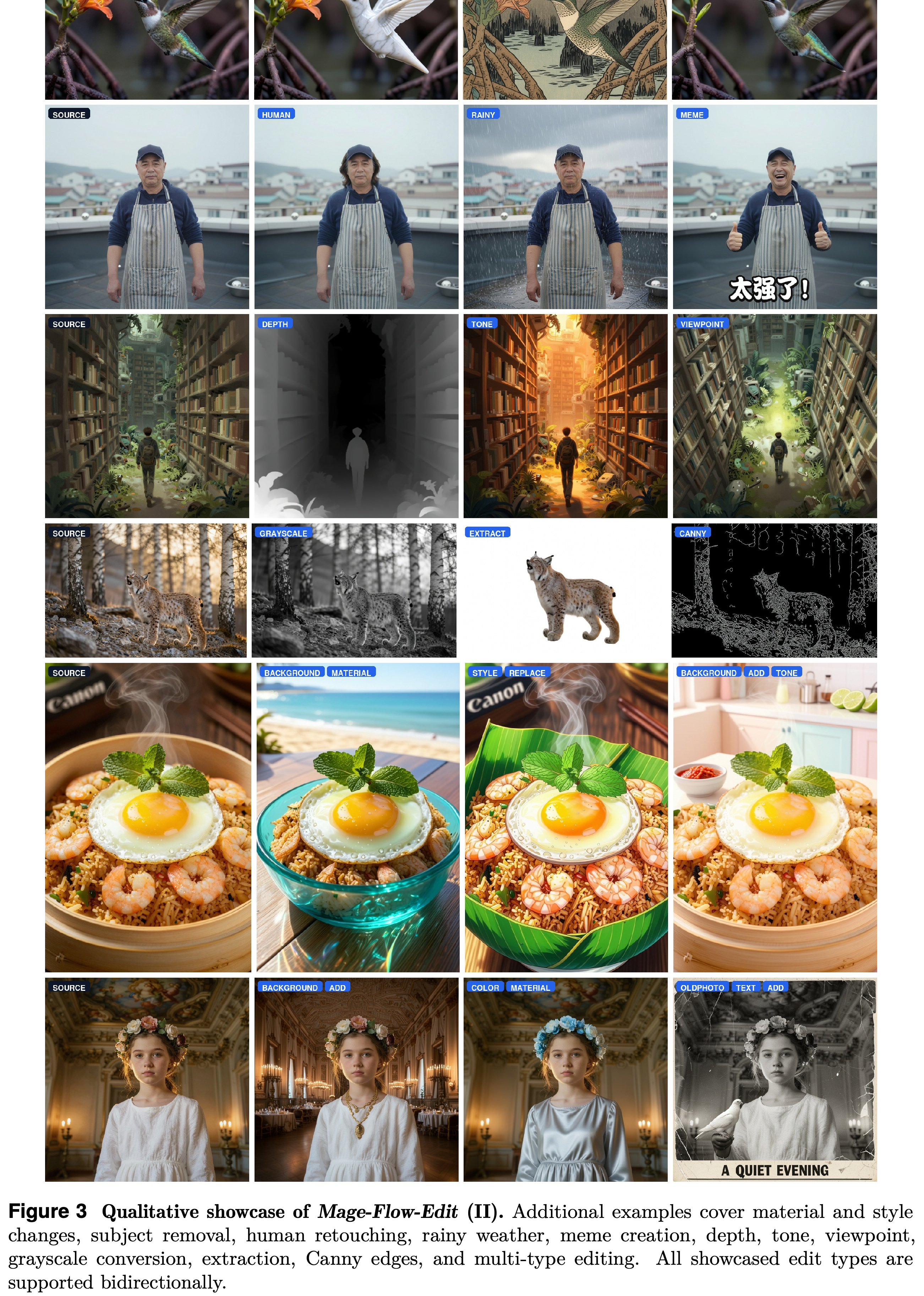 Additional material, style, restoration, viewpoint, and multi-type editing examples.