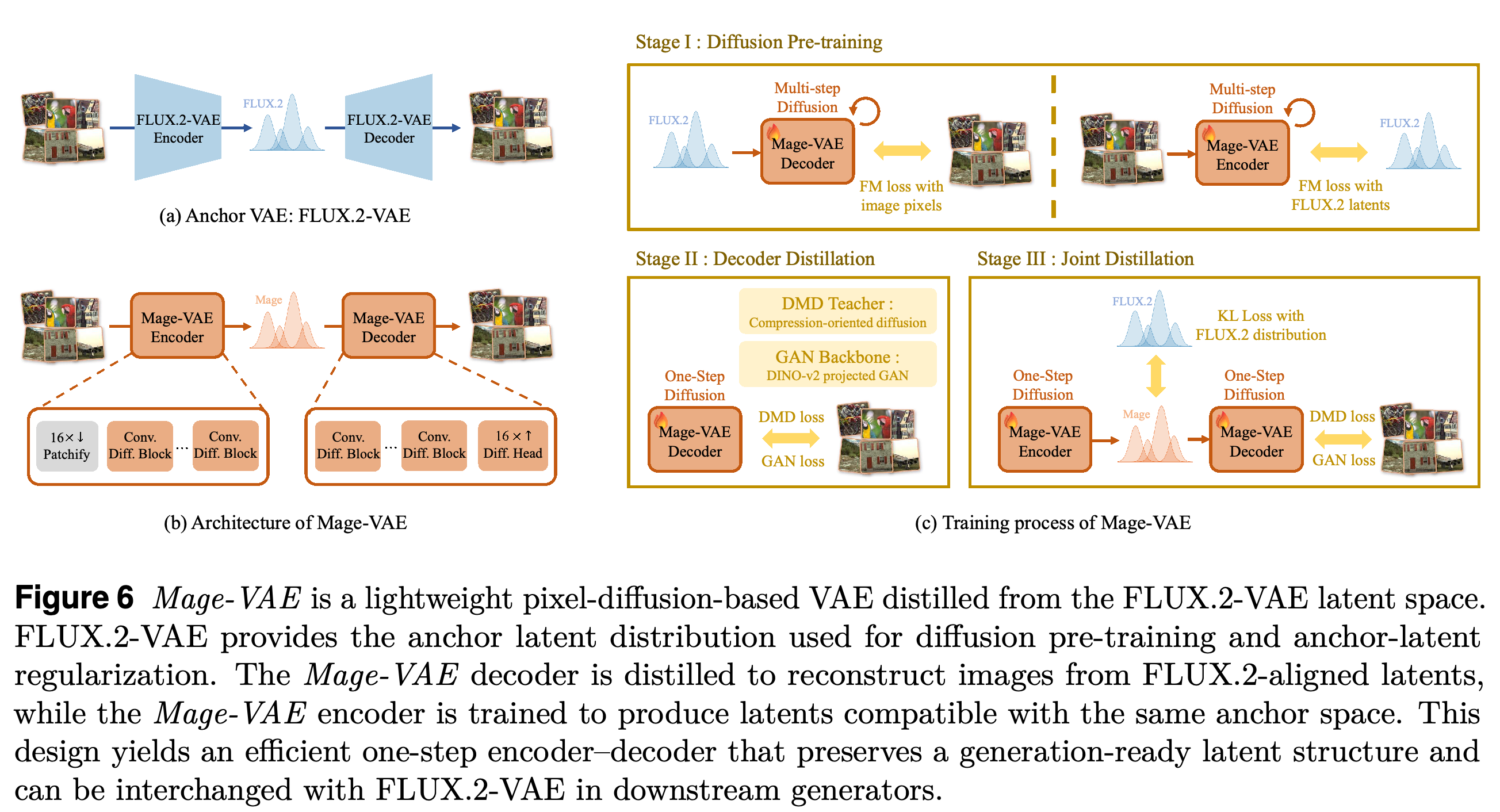 Mage-VAE anchor space, architecture, and staged training process.